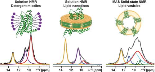 The Conformational Equilibria of a Human GPCR Compared between Lipid Vesicles and Aqueous Solutions by Integrative 19F-NMR