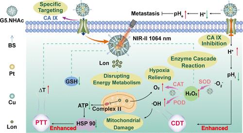Dendrimer-Entrapped CuPt Bimetallic Nanozymes for Tumor Microenvironment-Regulated Photothermal/Catalytic Therapy