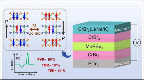 Giant Nonvolatile Multistate Resistance with Fully Magnetically Controlled van der Waals Multiferroic Tunnel Junctions