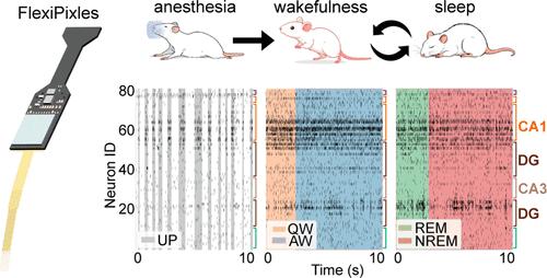 Unraveling Multiregional Neural Patterns during Consciousness Transition Using Flexible Microelectrode Arrays Integrated with Neuropixels Chips