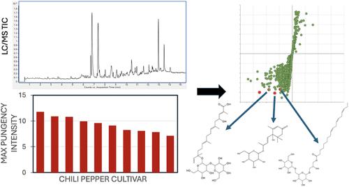 Identification of Chili Pepper Compounds That Suppress Pungency Perception