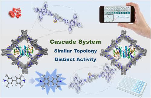 Biological Cascade Catalysts Based on Structurally Regulated Covalent Organic Framework for Intuitive Glucose Colorimetric Sensing