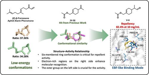 Structural Optimization of Aphid Repellents Based on the Low-Energy Conformation of (E)-β-Farnesene