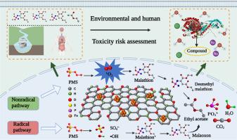 Degradation of malathion to low-toxicity products via peroxymonosulfate activated by plastic/K2FeO4-derived porous carbon