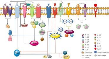 The relationship between interleukin and ankylosing spondylitis