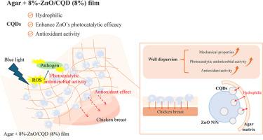 Sustainable agar-based film with zinc oxide/carbon quantum dot (ZnO/CQD) nanocomposite for photocatalytic antimicrobial and antioxidant packaging of chicken breast