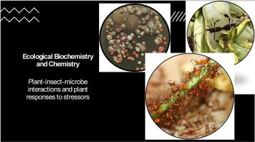 Guidelines and practical considerations for liquid or gas chromatography tandem mass spectrometry-based studies in Phytochemistry Ecological Biochemistry and Chemistry article types