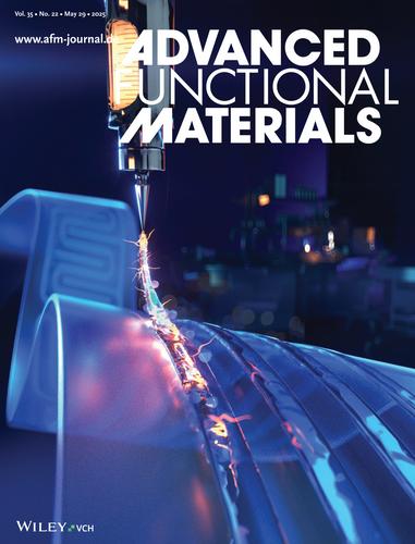 Direct Ink Writing of Conductive Hydrogels (Adv. Funct. Mater. 22/2025)