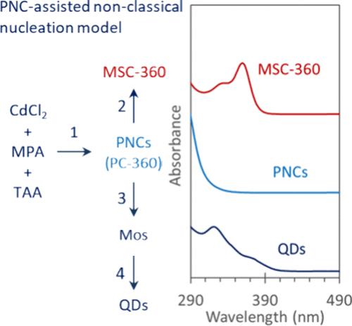 Prenucleation Clusters Assisting Formation of CdS Quantum Dots in Aqueous Environments