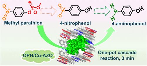 Cascade Conversion of Methyl Parathion to 4-Aminophenol by In Situ Encapsulated Organophosphate Hydrolase within a Reduction-Catalytic Cupric MOF