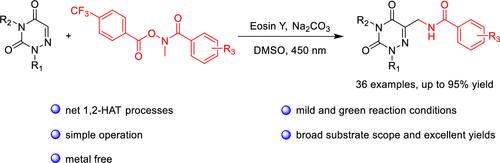 Visible-Light-Induced C–H Alkylation of 1,2,4-Triazine-3,5(2H,4H)-diones via Infrequent 1,2-Hydrogen-Atom Transfer