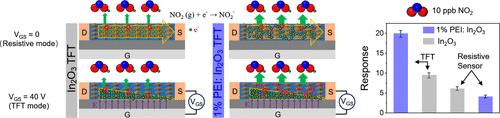Gate Voltage Regulation of Surface Properties in Polyethylenimine-Doped Indium Oxide Transistors for Enhanced Detection of Low-Concentration NO2 at Room Temperature