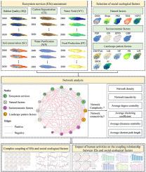 Dynamic changes of the complex coupling relationships between ecosystem services and socio-ecological factors and the impact of human activities: Insights from network analysis