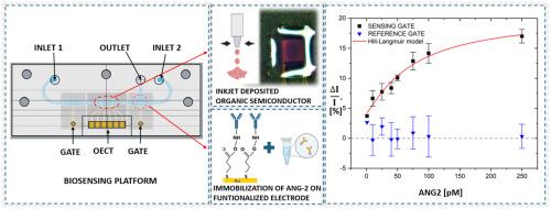 A contamination-free electrolyte-gated organic transistors platform for high-accuracy tumor biomarker detection