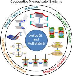 Active bi- and multistability in cooperative microactuator systems