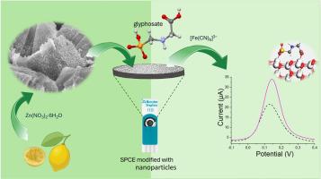 ZnO-nanostructured electrochemical sensor for efficient detection of glyphosate in water