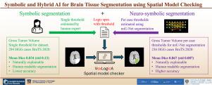 Symbolic and hybrid AI for brain tissue segmentation using spatial model checking