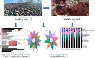Correlating microbial diversity patterns with V and Cr in blast furnace slag contaminated soil