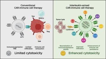 Interleukin-enhanced CAR-engineered immune cells in tumor immunotherapy: current insights and future perspectives