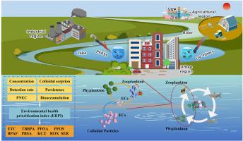 Emerging contaminants in Taihu lake Basin: Multi-dimensional prioritization, colloidal adsorption, and trophic-level disruptions