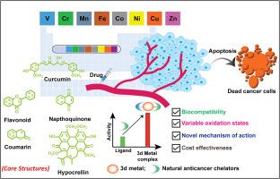 First-row transition metal complexes of naturally occurring anticancer chelators for cancer treatment