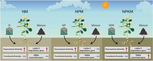 Partial organic substitution increases microbial diversity but has divergent effects on functional microorganisms under various fertilization regimes in an ultisol