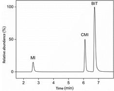 Constructing a limit model and developing an HPLC-MS/MS analytical method for measuring isothiazolinone migration from children's sports protectors into sweat
