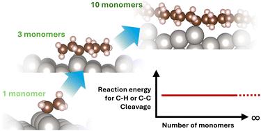 Theoretical determination of a model molecule for the catalytic upcycling of polyethylene and polypropylene†