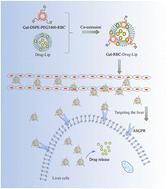 Galactose-modified erythrocyte membrane fusion liposomes enable the targeted delivery of drug nanoparticles to the liver