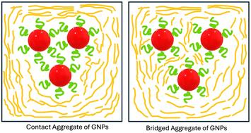 Thickening of liquids using copolymer grafted nanoparticles†