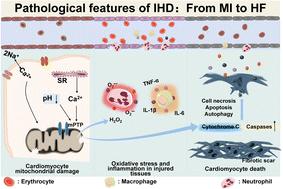 Progress of nanomaterials in the treatment of ischemic heart disease