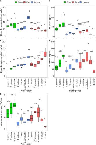 Species Composition Influences Zinc and Selenium Uptake in Multispecies Grasslands