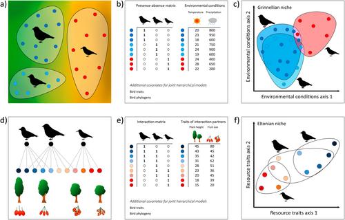 Eltonian Niche Modelling: Applying Joint Hierarchical Niche Models to Ecological Networks