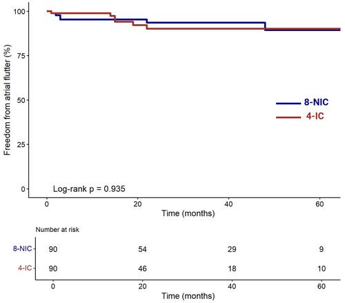 Comparison of Two High-Power Ablation Strategies for Typical Atrial Flutter: Acute and Long-Term Outcome