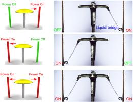 Research on dynamic transport and intelligent distribution of dielectric fluids driven by non-uniform electric fields