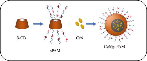 Cationic Cyclodextrin Loaded Photosensitizer Ce6 for the Treatment of Periodontitis