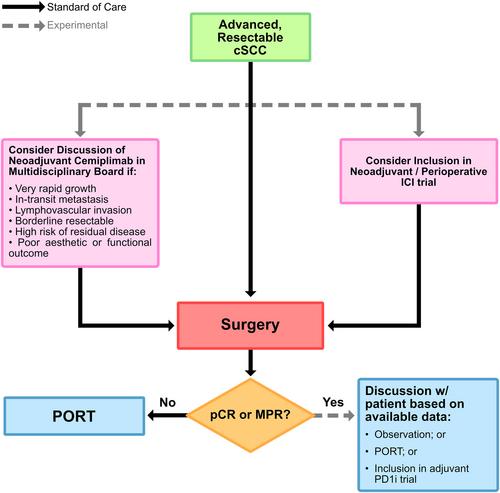 Top advances of the year: Developments of immunotherapy in cutaneous squamous cell carcinoma, 2023–2024