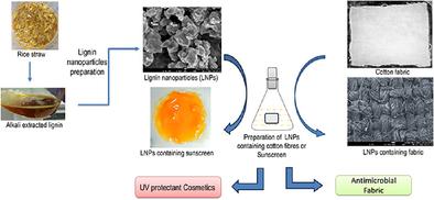 Synthesis and Characterization of Eco-Friendly Lignin Nanoparticles for Antimicrobial and UV Barrier Applications in Textiles and Possible Sunscreen Formulations
