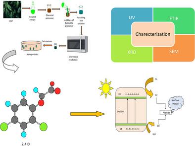 Sustainable Bio-Fabrication of Chromium (III) Oxide Nanoparticles for Efficient Removal of 2,4-Dichlorophenoxyacetic Acid: A Response Surface Optimization Approach