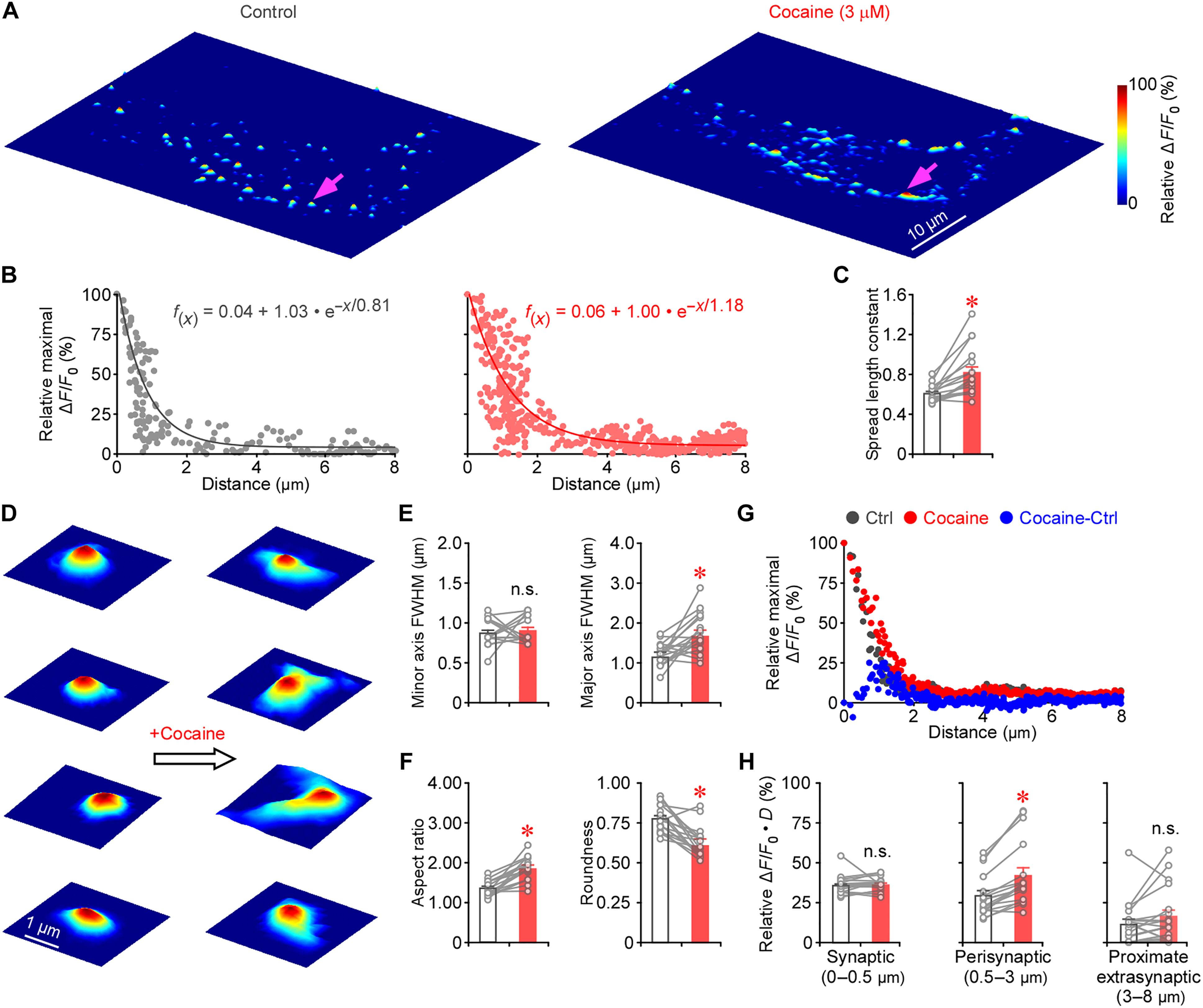 Coding principles of dopaminergic transmission modes