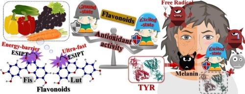 Unveiling antioxidant and tyrosinase inhibitory activities of ESIPT-based flavonoids: DFT/TD-DFT calculations and molecular docking