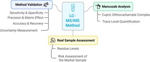 Development and validation of a sensitive liquid chromatography-tandem mass spectrometry method for the analysis of Mancozeb residues in cauliflower: Risk assessment of real samples