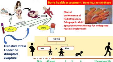 Radiofrequency echographic multi-spectrometry for early bone health: The REMS-bone study protocol (Trial acronym: REMS-bone)