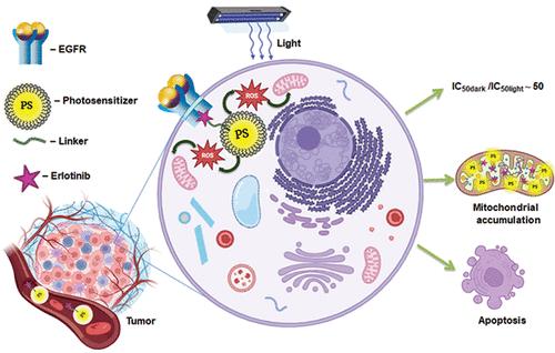 Synthesis, Molecular Docking, and Biological Activity of New EGFR-Targeted Photosensitizers Based on Cationic Porphyrins Encapsulated into Pluronic F127 Micelles