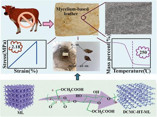 High-Strength and Biodegradable Mycelial Leather Materials Cross-linked with Dialdehyde Carboxymethyl Cellulose
