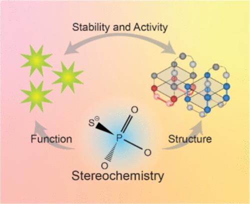 Stereochemistry of Phosphorothioate Linkages Impacts the Structure and Binding Affinity of Aptamers and DNAzymes