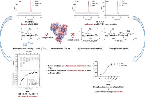 Compatibility between Proteins and Polysaccharide Excipients in Oral Delivery Tablets