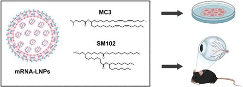 Lipid Nanoparticles-Mediated mRNA Delivery to the Eye Affected by Ionizable Cationic Lipid
