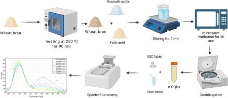Nature-derived carbon dots for ratiometric analysis: Bismuth-doped fluorescent probe for oyster shell determination in tablet dosage forms