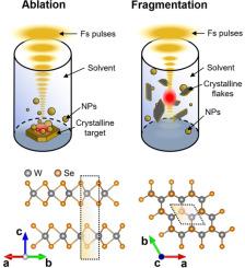 Femtosecond laser ablation and fragmentation for TMDC nanoparticles synthesis: A comparative study